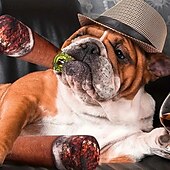 お買い得  犬用おもちゃ-噛む用おもちゃ インタラクティブトイ きしむおもちゃ ととも​​に 耐用的 ペット運動 解放圧力 ペットトレーニング 歯が生えるロープのおもちゃ のために 犬用 屋内 屋外 ペットプレイ