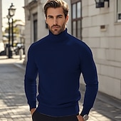 preiswerte Herrenpullover-Herren Pullover Strickpullover Gerippt Stricken Standard Strick Glatt Rollkragen Modisch Brautkleider schlicht Urlaub Freizeitskleidung Bekleidung Herbst Winter Kamel Wein S M L