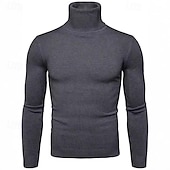 preiswerte Herrenpullover-Herren Pullover Strickpullover Rollkragenpullover für Herren Gerippt Stricken Standard Strick Glatt Rollkragen Modisch Brautkleider schlicht Freizeitskleidung Verabredung Bekleidung Herbst Winter
