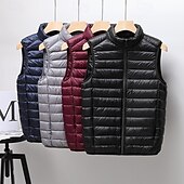 お買い得  ジレ-男性用 ダウンベスト パファーベスト ジレ 日常 デート バケーション ファッション カジュアル 秋冬 ポケット ナイロン ダックダウン 保温 快適 純色 ジッパ－ スタンド レギュラー ブラック バーガンディー ブルー グレー ベスト
