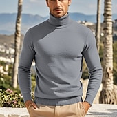 billige genser for menn-Herre Pullover genser Strikket genser Riflet Strikke Normal Strikket عادي Rullekrage Mote Fritid Dagligdagstøy Stevnemøte Klær Høst vinter Kamel Vin S M L