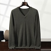 preiswerte Herren Elite Pullover &amp; Cardigans-Herren Pullover Stricken Einfarbig V Ausschnitt Strickware Elegant Weihnachten Weihnachtsgeschenke Bekleidung Herbst Winter Weinrot Schwarz S M L