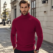 preiswerte Herrenpullover-Herren Pullover Strickpullover Gerippt Stricken Standard Strick Glatt Rollkragen Modisch Brautkleider schlicht Urlaub Freizeitskleidung Bekleidung Herbst Winter Kamel Wein S M L