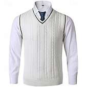 abordables Gilet pull-Homme Pull Gilet Pull Robe pull Gilet Pull en tricot A côtes Tricot torsadé Tricoter Normal Tricoté Plein Col V Mode Décontractées Usage quotidien Rendez-vous Vêtement Tenue Automne hiver Noir Blanche