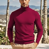 billige genser for menn-Herre Pullover genser Strikket genser Riflet Strikke Normal Strikket عادي Rullekrage Mote Fritid Dagligdagstøy Stevnemøte Klær Høst vinter Kamel Vin S M L