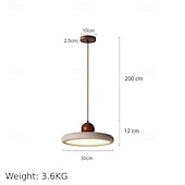 cheap Pendant Lights-1-Light 30 cm Single Design Pendant Light Stone Painted Finishes Modern Nordic Style 110-240V