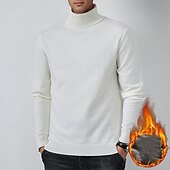 preiswerte Herrenpullover-Herren Pullover Strickpullover Rollkragenpullover für Herren Gerippt Stricken Standard Strick Glatt Rollkragen Modisch Brautkleider schlicht Freizeitskleidung Verabredung Bekleidung Herbst Winter