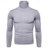 preiswerte Herrenpullover-Herren Pullover Strickpullover Rollkragenpullover für Herren Gerippt Stricken Standard Strick Glatt Rollkragen Modisch Brautkleider schlicht Freizeitskleidung Verabredung Bekleidung Herbst Winter