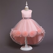 economico Vestiti per serate-Bambino Da ragazza Vestito da festa Tinta unica Senza maniche Prestazioni Compleanno Retato Bellissimo Dolce Poliestere Asimmetrico Vestito da festa Vestito svasato Abito linea A Estate 4-12 anni