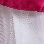 preiswerte Partykleider-kinderkleidung Mädchen Cosplay-Kleid Party Kleid Farbblock Ärmellos Leistung Weihnachten Gitter Rückenfrei Patchwork Schön Süß Polyester Maxi abendkleider Schaukelkleid Tüll-Kleid Winter 4-12 Jahre