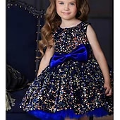 preiswerte Partykleider-kinderkleidung Mädchen Party Kleid Feste Farbe Langarm Leistung Gitter Prinzessin Süß Gitter Mitte der Wade Etuikleid Tüll-Kleid Sommer Frühling Herbst Kinder Schwarz Wein Marineblau