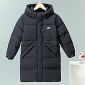 billiga Pojkars dunjacka och parka-Barn Pojkar Ner Hoodiejacka Pufferjacka Ytterkläder Ensfärgat Långärmad Ficka Täcka Utomhus Dagligen Grundläggande Svart Höst Vinter 5 år +