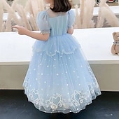 economico Vestiti per serate-ragazze' 3D Con cuori Vestito da festa Manica corta Estate Primavera Prestazioni Feste Compleanno Bellissimo Dolce Bambino 4-12 anni Vestito da festa Vestito svasato Abito in tulle Maxi Standard