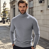 preiswerte Herrenpullover-Herren Pullover Strickpullover Gerippt Stricken Standard Strick Glatt Rollkragen Modisch Brautkleider schlicht Urlaub Freizeitskleidung Bekleidung Herbst Winter Kamel Wein S M L