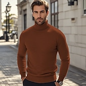 preiswerte Herrenpullover-Herren Pullover Strickpullover Gerippt Stricken Standard Strick Glatt Rollkragen Modisch Brautkleider schlicht Urlaub Freizeitskleidung Bekleidung Herbst Winter Kamel Wein S M L