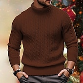 preiswerte Herrenpullover-Herren Rollkragenpulli Pullover Zur Seite fahren Gerippt Gedrehtes Stricken Strick Glatt Rollkragen warm halten Brautkleider schlicht Freizeitskleidung Urlaub Bekleidung Herbst Winter Kamel Schwarz M