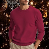 preiswerte Herrenpullover-Herren Wollpullover Pullover Kaschmir Kaschmirpullover Strickpullover Gerippt Stricken Standard Strick Glatt Rundhalsausschnitt Modisch Brautkleider schlicht Freizeitskleidung Verabredung Bekleidung