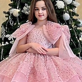 voordelige Feestjurken-Kinderen Voor meisjes Feestjurk Effen Kleur Mouwloos Prestatie Netstof Prinses Zoet Netstof Halverwege kuit Schede jurk Tule-jurk Zomer Lente Herfst Kinderen Wit Champagne Blozend Roze