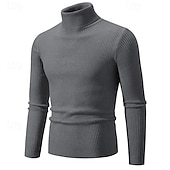 preiswerte Herrenpullover-Herren Pullover Gerippt Stricken Standard Strick Schmaler Schnitt Glatt Rollkragen Moderne zeitgenössische Arbeit Freizeitskleidung Bekleidung Winter Frühling &amp; Herbst Schwarz Weiß M L XL