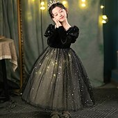 Недорогие Костюмы для девочек-Холодное сердце Принцесса Сказка Эльза Платье девушки цветка Костюм для тематической вечеринки Тюль Платья Косплей Костюм Косплей из фильмов for Девочки Детские Рождество Карнавал Новый год