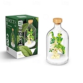 お買い得  組立ておもちゃ-昆虫コレクションの組み立てセットのアイデア、昆虫愛好家のためのリラックスできるプロジェクト、蝶、トンボ、蜂のディスプレイモデル、大人、男の子、女の子向けの虫の組み立ておもちゃと自然の装飾