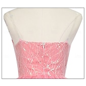 economico Costumi da donna-Strega Fata Glinda Costume Gonna a cerchio Abito da Ballo Costumi a Tema Film e TV Cosplay di film for Per donna Adulti Halloween Carnevale martedì grasso Performance Feste Palcoscenico