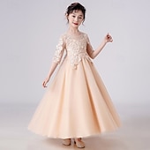 billige Blomsterkjoler-Blomsterpikekjole Barn Jente Prinsesse kjole Ytelse Bryllup Fest Elegant Vakker Netting Helfarge Kortermet Crew-hals Hvit Champagne 4 år +