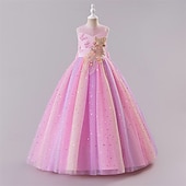billige Blomsterkjoler-Blomsterpikekjole Barn Jente Prinsesse kjole Ytelse Bryllup Fest Elegant Vakker Netting Regnbue Ermeløs Crew-hals Rosa Blå 4 år +