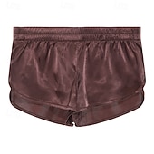 economico Boxer da uomo-Per uomo 1 confezione Biancheria intima Boxer Miscela di fibre chimiche Traspirante Morbido Liscio Vita normale Argento Nero