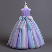 billige Blomsterkjoler-Blomsterpikekjole Barn Jente Prinsesse kjole Ytelse Bryllup Fest Elegant Vakker Paljetter Netting Regnbue Ermeløs Crew-hals Rosa Blå 4 år +