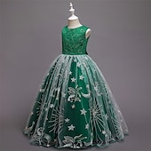 abordables Robes de fête-Enfants Fille Robe de fête Etoile Sans Manches Utilisation Noël Anniversaire Maille Magnifique Doux Polyester Maxi robe soirée Robe Évasée Robe Trapèze Eté 4-12 ans Rose Claire Rouge Bleu