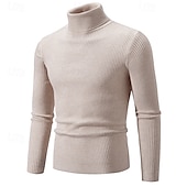 preiswerte Herrenpullover-Herren Pullover Gerippt Stricken Standard Strick Schmaler Schnitt Glatt Rollkragen Moderne zeitgenössische Arbeit Freizeitskleidung Bekleidung Winter Frühling &amp; Herbst Schwarz Weiß M L XL