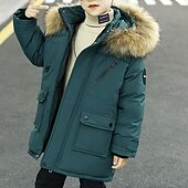 billiga Boy&amp;#39;s Downs &amp;amp; Pufferjacka-Barn Pojkar Hoodiejacka Pufferjacka Ytterkläder Ensfärgat Långärmad Ficka Täcka Utomhus Dagligen Grundläggande Svart Blå Grön Höst Vinter 4 år +