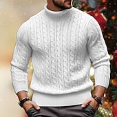 preiswerte Herrenpullover-Herren Rollkragenpulli Pullover Zur Seite fahren Gerippt Gedrehtes Stricken Strick Glatt Rollkragen warm halten Brautkleider schlicht Freizeitskleidung Urlaub Bekleidung Herbst Winter Kamel Schwarz M