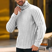 preiswerte Herrenpullover-Herren Rollkragenpulli Pullover Gerippt Stricken Standard Strick Schmaler Schnitt Glatt Rollkragen Moderne zeitgenössische Arbeit Freizeitskleidung Bekleidung Winter Frühling &amp; Herbst Schwarz Blau M