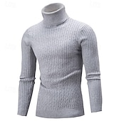 cheap Men&#039;s Pullover Sweater-Men&#039;s Turtleneck Sweater Pullover Sweater Jumper Ribbed Knit Regular Knitted Slim Fit Plain Turtleneck Modern Contemporary Work Daily Wear Clothing Apparel Winter Spring &amp;  Fall Black White M L XL