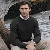 cheap Men's Pullover Sweater-Men's Sweater Pullover Sweater Jumper Cable Knit Sweater Cable Knit Regular Classic Style Knitted Solid Color Round Neck Modern Contemporary Work Daily Wear Clothing Apparel Fall Winter Black White S
