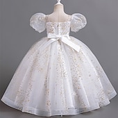 billige Blomsterkjoler-Blomsterpikekjole Barn Jente Prinsesse kjole Ytelse Bryllup Fest Elegant Vakker Paljetter Netting Helfarge Kortermet V-hals Hvit Rød 4 år +