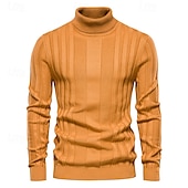 billige Herre Elite Genser og Cardigans-Herre Genser Pullover genser Strikketøy Riflet Strikke Vanlige topper Fargeblokk Rullekrage Strikketøy Nøytral utendørs Klær Vår &amp; Vinter Svart Gul S M L