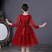 billige Blomsterkjoler-Blomsterpikekjole Barn Jente Prinsesse kjole Ytelse Bryllup Fest Elegant Vakker Netting Helfarge Langermet Crew-hals Vinrød Hvit 4 år +