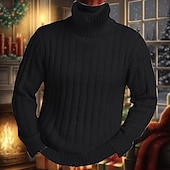 cheap Men&#039;s Pullover Sweater-Men&#039;s Turtleneck Sweater Pullover Sweater Jumper Knit Sweater Mens Turtle Neck Jumper Ribbed Knit Regular Knitted Pit Plain Roll Neck Keep Warm Modern Contemporary Daily Wear Going out Clothing