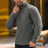 preiswerte Herrenpullover-Herren Rollkragenpulli Pullover Gerippt Stricken Standard Strick Schmaler Schnitt Glatt Rollkragen Moderne zeitgenössische Arbeit Freizeitskleidung Bekleidung Winter Frühling &amp; Herbst Schwarz Blau M