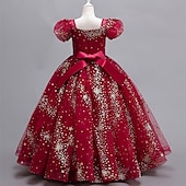 billige Blomsterkjoler-Blomsterpikekjole Barn Jente Prinsesse kjole Ytelse Bryllup Fest Elegant Vakker Paljetter Netting Helfarge Kortermet V-hals Hvit Rød 4 år +
