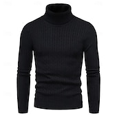 cheap Men&#039;s Pullover Sweater-Men&#039;s Turtleneck Sweater Pullover Sweater Jumper Ribbed Knit Regular Knitted Slim Fit Plain Turtleneck Modern Contemporary Work Daily Wear Clothing Apparel Winter Spring &amp;  Fall Black White M L XL