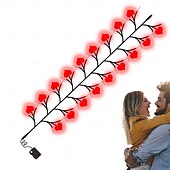 economico Striscie luci USB-1 pz. luci a forma di vite d&#039;amore per San Valentino con telecomando, luci per atmosfera da festival, per interni, camera da letto, bar, USB o batteria AAA