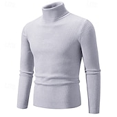 preiswerte Herrenpullover-Herren Pullover Gerippt Stricken Standard Strick Schmaler Schnitt Glatt Rollkragen Moderne zeitgenössische Arbeit Freizeitskleidung Bekleidung Winter Frühling &amp; Herbst Schwarz Weiß M L XL
