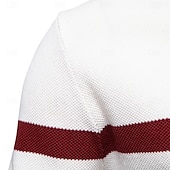 economico Maglioni e Cardigan Elite da Uomo-Per uomo Felpa Maglione Maglieria A Coste Maglia Top Regolari Collo ripiegato Casual Quotidiano Abbigliamento Primavera &amp; Autunno Bianco Verde S M L