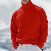preiswerte Herrenpullover-Herren Pullover Rollkragenpullover für Herren Overall Gerippt Stricken Standard Strick Glatt Rollkragen Moderne zeitgenössische Arbeit Freizeitskleidung Bekleidung Winter Schwarz Weiß M L XL