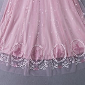economico Costumi per bambine-Frozen - Il regno di ghiaccio Principessa Fiaba Elsa Cappotto Mantello Costume per festa a tema Costume Cosplay Cosplay di film for Ragazze Bambini Natale Carnevale Giornata universale dell&#039;infanzia