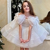 voordelige Feestjurken-Kinderen Voor meisjes Feestjurk Effen Kleur Mouwloos Prestatie Netstof Prinses Zoet Netstof Halverwege kuit Schede jurk Tule-jurk Zomer Lente Herfst Kinderen Wit Champagne Blozend Roze